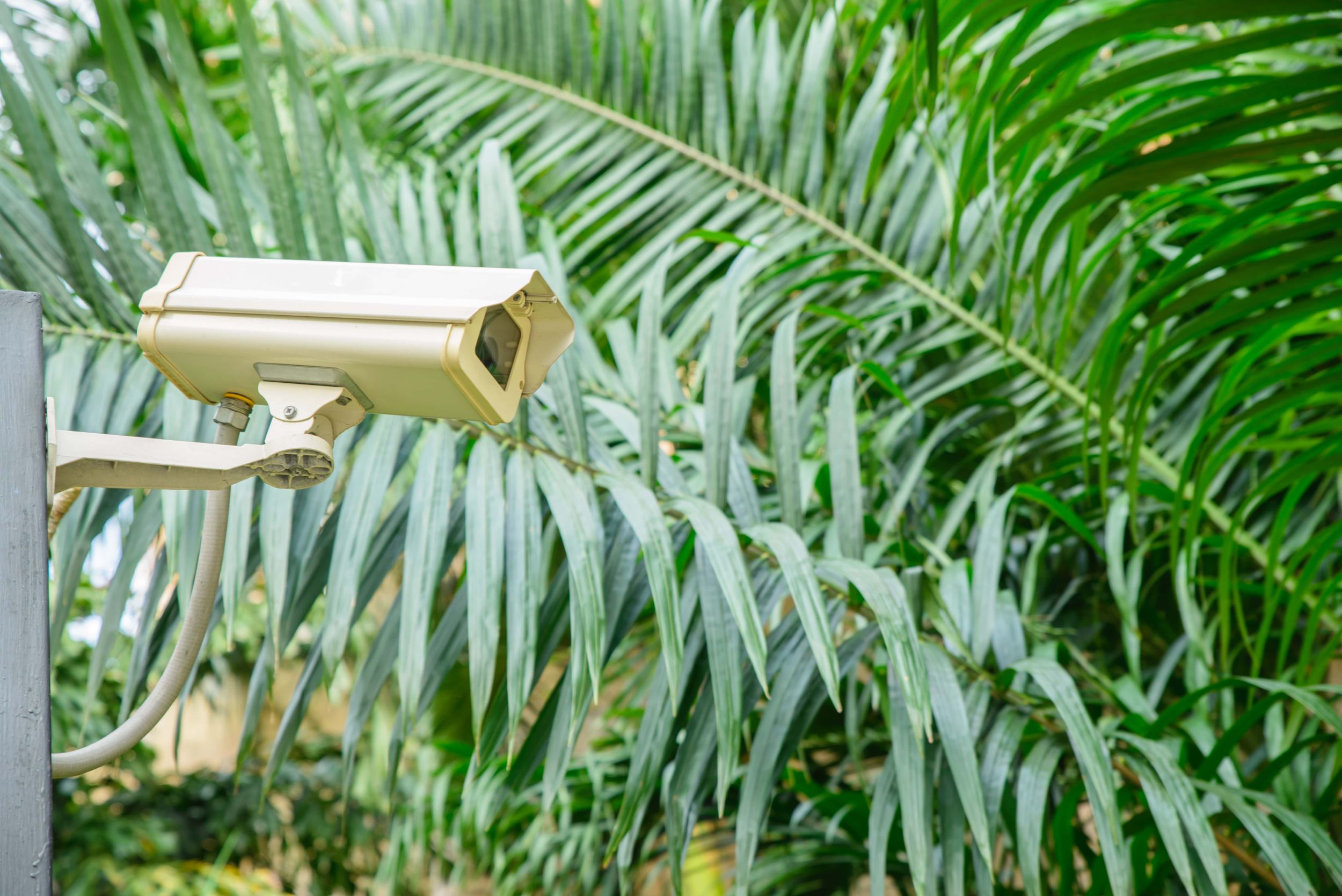 cctv baq va villa 1 دوربین مداربسته مناسب برای باغ و ویلا