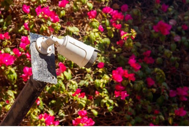 cctv baq va villa 2 دوربین مداربسته مناسب برای باغ و ویلا