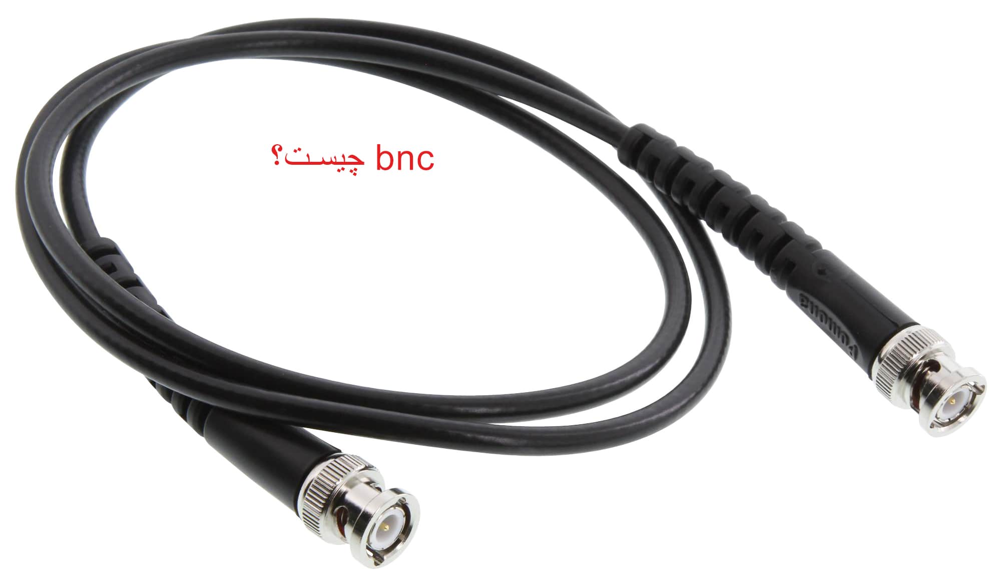 فیش bnc چیست